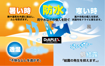 DiAPLEX（ディアプレックス）の特徴